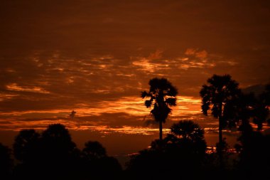 Günbatımında tropikal manzara