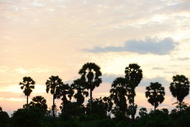 Günbatımında tropikal manzara