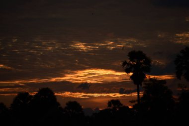 Günbatımında tropikal manzara