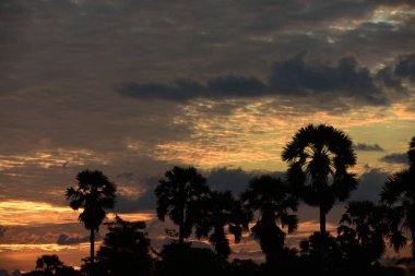 Günbatımında tropikal manzara