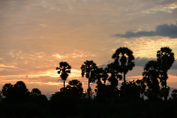 Paisaje Tropical Atardecer — Foto de Stock