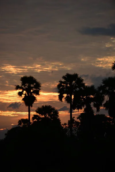 日没時の熱帯の風景 — ストック写真