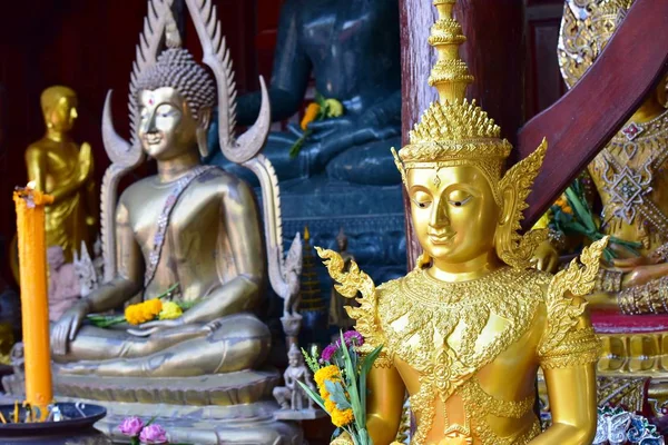 Altın Buda Resim Saygı Budist Sutraları Wat Luang Pothit Tayland — Stok fotoğraf