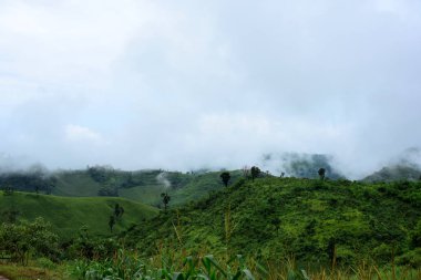 Tayland 'daki güzel yeşil dağ manzarası