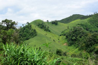 Tayland 'daki yeşil dağ manzarası