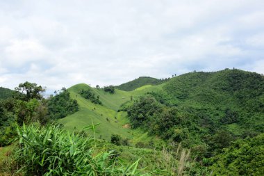 Tayland 'daki yeşil dağ manzarası