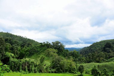 Tayland 'daki yeşil dağ manzarası