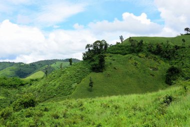 Tayland 'daki yeşil dağ manzarası