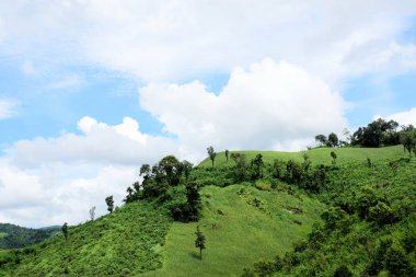 Tayland 'daki yeşil dağ manzarası