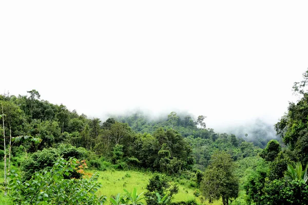 Beautiful Green Mountain Landscape Thailand — Stock Photo, Image