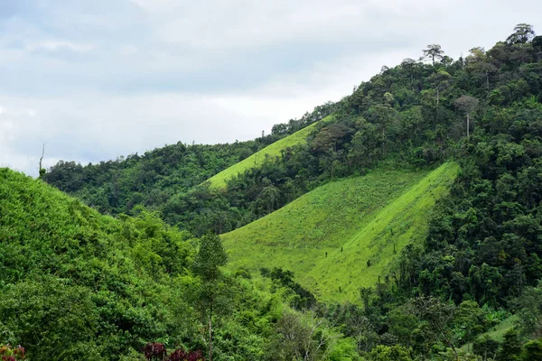 Paisaje Montaña Verde Tailandia — Foto de Stock