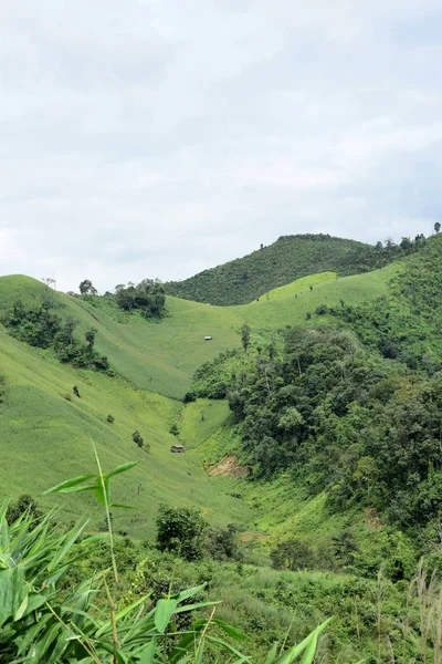 Zielony Krajobraz Górski Tajlandii — Zdjęcie stockowe