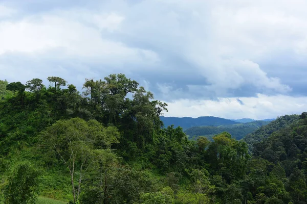 Tayland 'daki yeşil dağ manzarası