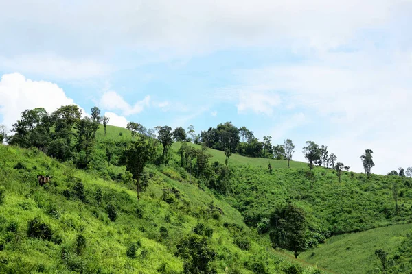 Paisaje Montaña Verde Tailandia — Foto de Stock