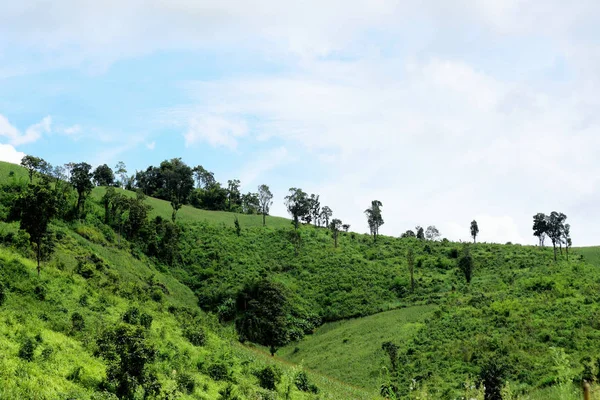 Paisaje Montaña Verde Tailandia — Foto de Stock