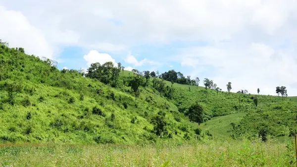 Paisaje Montaña Verde Tailandia — Foto de Stock