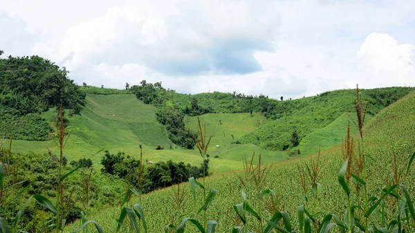 Paisaje Montaña Verde Tailandia — Foto de Stock