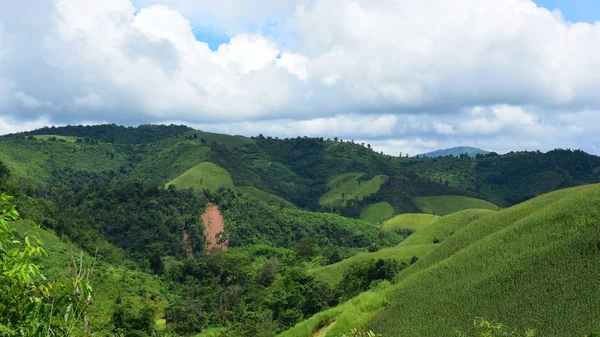 Paisaje Montaña Verde Tailandia — Foto de Stock