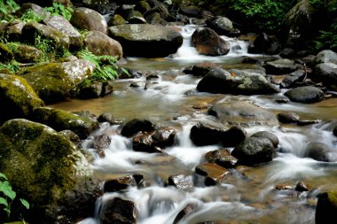Tropikal ormandaki dağ nehri