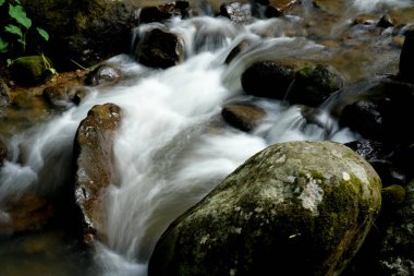 Tropikal ormandaki dağ nehri