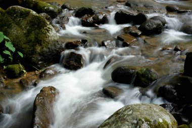 Tropikal ormandaki dağ nehri
