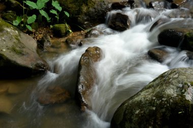Tropikal ormandaki dağ nehri