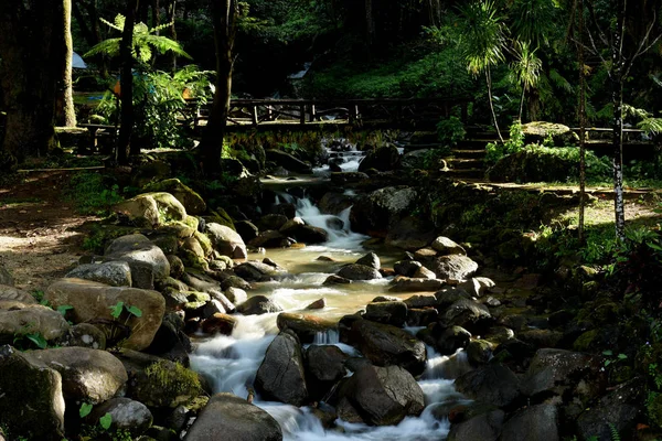 Tropikal Ormandaki Dağ Nehri — Stok fotoğraf
