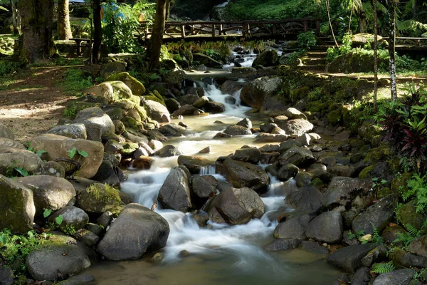 Mountain River Tropical Forest — Stock Photo, Image