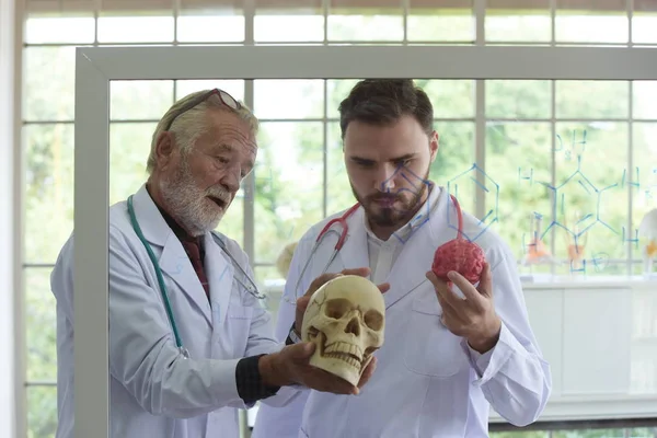 Wetenschappers Die Menselijke Schedels Bestuderen Het Lab — Stockfoto