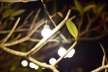 Ağaç dalında yeşil yapraklar ve lamba.