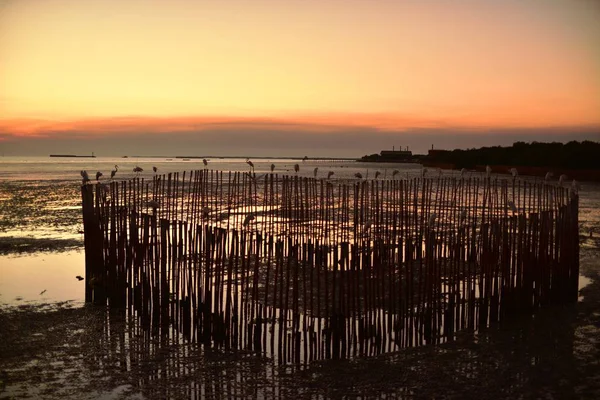 Kaunis Auringonlasku Meren Rannalla — kuvapankkivalokuva