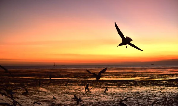 夕暮れ前の夕日と海の色鮮やかな空 — ストック写真