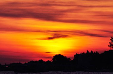 Güzel sarı gökyüzü ve güneş plajın, kumsalın ve güneş pansiyonlarının manzarası yükseliyor. Güzel sarı gökyüzü ve güneş