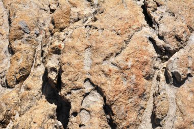 Güneşli bir günde taştan deniz kıyısında