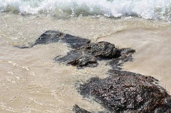 Costa Mar Piedra Día Soleado —  Fotos de Stock