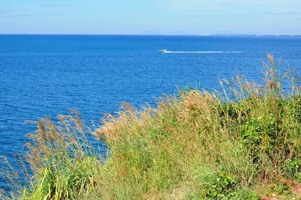 Het Gras Bloeit Lucht Heuvel Met Uitzicht Kust Van Koh — Stockfoto