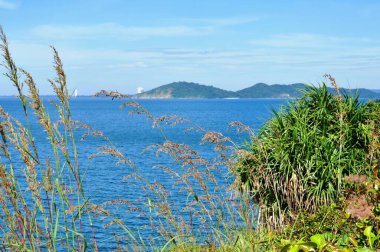 Deniz kıyısında güneşli gün