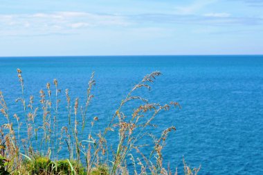 Parlak bir günde gökyüzü ve deniz manzarası. Duvar kağıdı olarak kullan