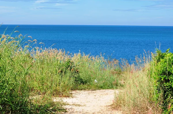 Das Gras Blüht Himmel Auf Dem Hügel Mit Blick Auf — Stockfoto