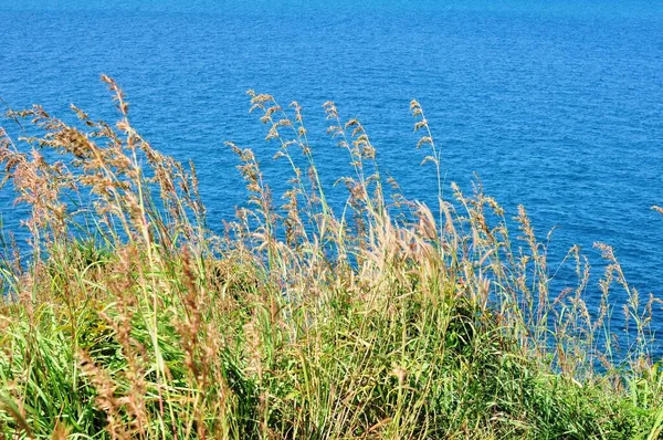 Deniz Kıyısında Güneşli Gün — Stok fotoğraf