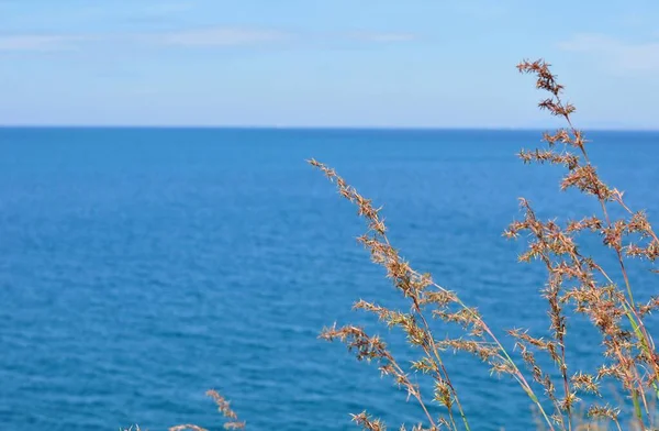 Parlak Bir Günde Gökyüzü Deniz Manzarası Duvar Kağıdı Olarak Kullan — Stok fotoğraf