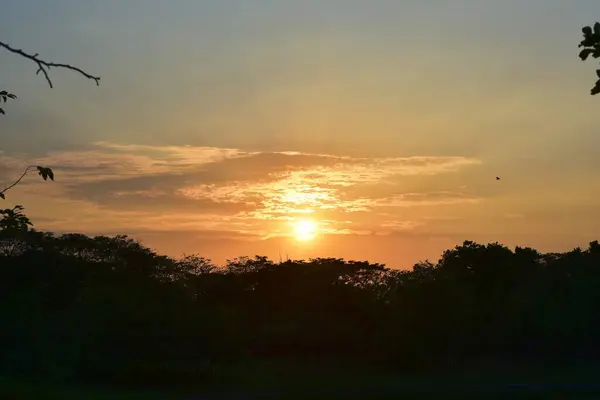 Помаранчевий Захід Сонця Над Тропічним Лісом — стокове фото