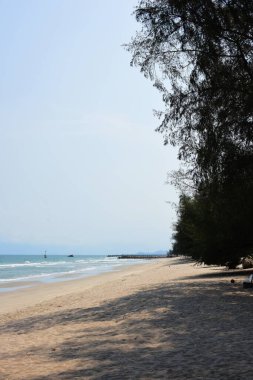 Güneşli bir günde güzel deniz kıyısında 