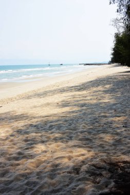 Güneşli bir günde güzel deniz kıyısında 