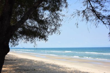 Güneşli bir günde güzel deniz kıyısında 