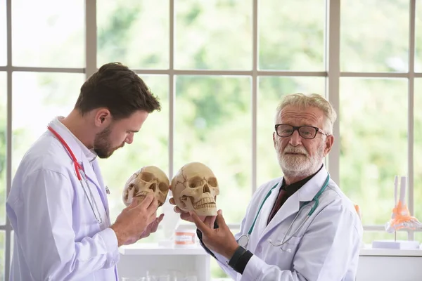 Scientifiques Étudiant Les Crânes Humains Laboratoire — Photo