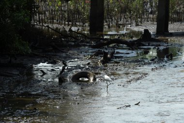Deniz kıyısında güneşli gün