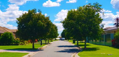 Huzurlu Park / Avustralya / gökyüzü / ağaç