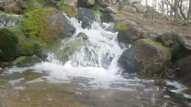 Een Stroom Die Stroomt Natuur Rotsen Met Het Geluid Van — Stockvideo