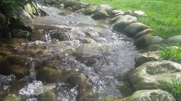 Little Creek Stroomt Idyllische Voorjaar Bos Met Het Rustgevende Geluid — Stockvideo